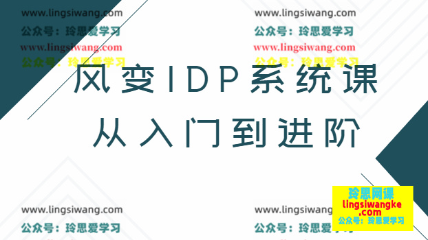 风变IDP系统课 打造不可替代的超强个体，高潜力人才计划 从入门到进阶 【完结】