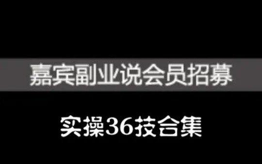 嘉宾副业说实操36技合集